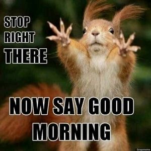 Meet your Posher, Blanche